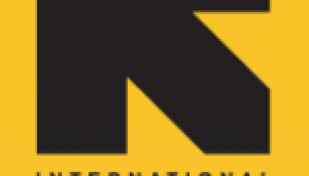 Deputy Director of Finances – Job Ref. NG/IRC/1911/NG889